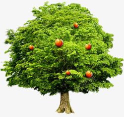 绿色环保果树大树素材