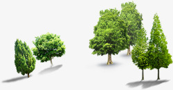 合成创意摄影园林大树效果素材