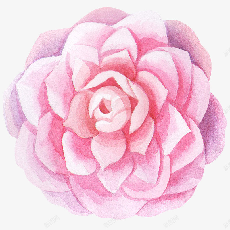 水彩粉色花朵简图png免抠素材_新图网 https://ixintu.com 手绘图 简图 粉色花朵 美丽的 花卉 花瓣 装饰