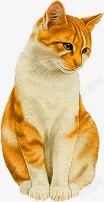 小猫动物png免抠素材_新图网 https://ixintu.com 动物 卡通 卡通猫咪 可爱 宠物 小猫 猫咪 猫猫