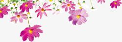 创意感恩教师节海报小清新植物花朵素材