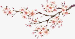 免费国画粉色梅花国画高清图片