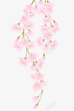 粉色美丽春季桃花花枝素材