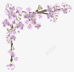 紫色相框漂浮樱花边框高清图片