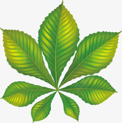 自然的背景图片多片叶子树叶手绘绿叶元素矢量图高清图片