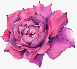 水彩紫色花朵图案素材