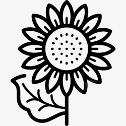 Liliaceae向日葵图标高清图片