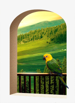 地产广告元素窗台上的鹦鹉素材