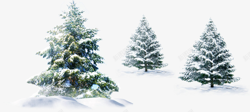 圣诞树装饰美景冬日png免抠素材_新图网 https://ixintu.com 冬日 圣诞树 美景 装饰
