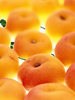 黄色水果甜杏素材