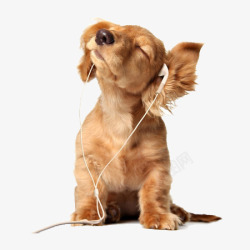 耳机听歌狗狗素材
