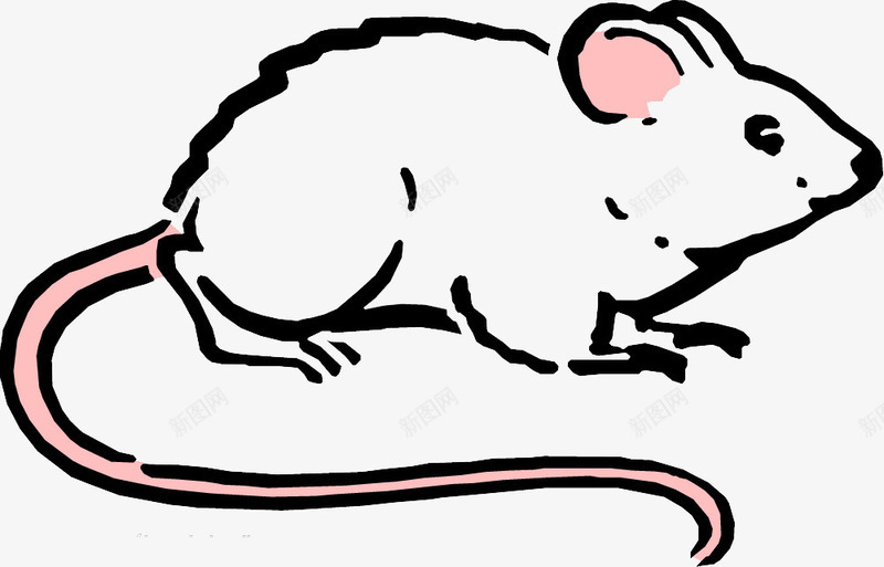 红尾巴鼠png免抠素材_新图网 https://ixintu.com 动物 卡通 手绘 老鼠 装饰