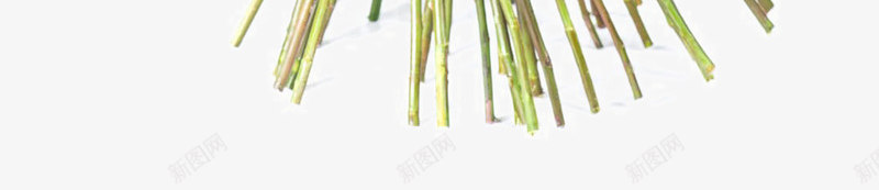 美丽的花束植物png免抠素材_新图网 https://ixintu.com 唯美花朵 婚礼花束 摄影花卉 玫瑰花 美丽的花束植物 美丽鲜花 花朵鲜花 花束 花草图片