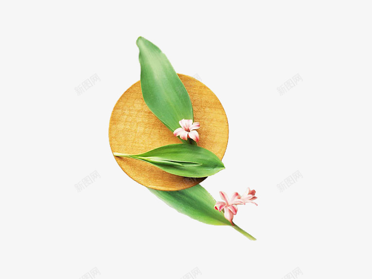 盘子上的叶子png免抠素材_新图网 https://ixintu.com 产品实物 叶子 木质 盘子 粉色的话 花朵