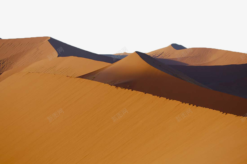 美丽的沙漠png免抠素材_新图网 https://ixintu.com 太阳 摄影 死亡 沙漠图片 沙漠广阔 石头 纹路印记 美丽的沙漠图片 花朵 蓝天 骸骨