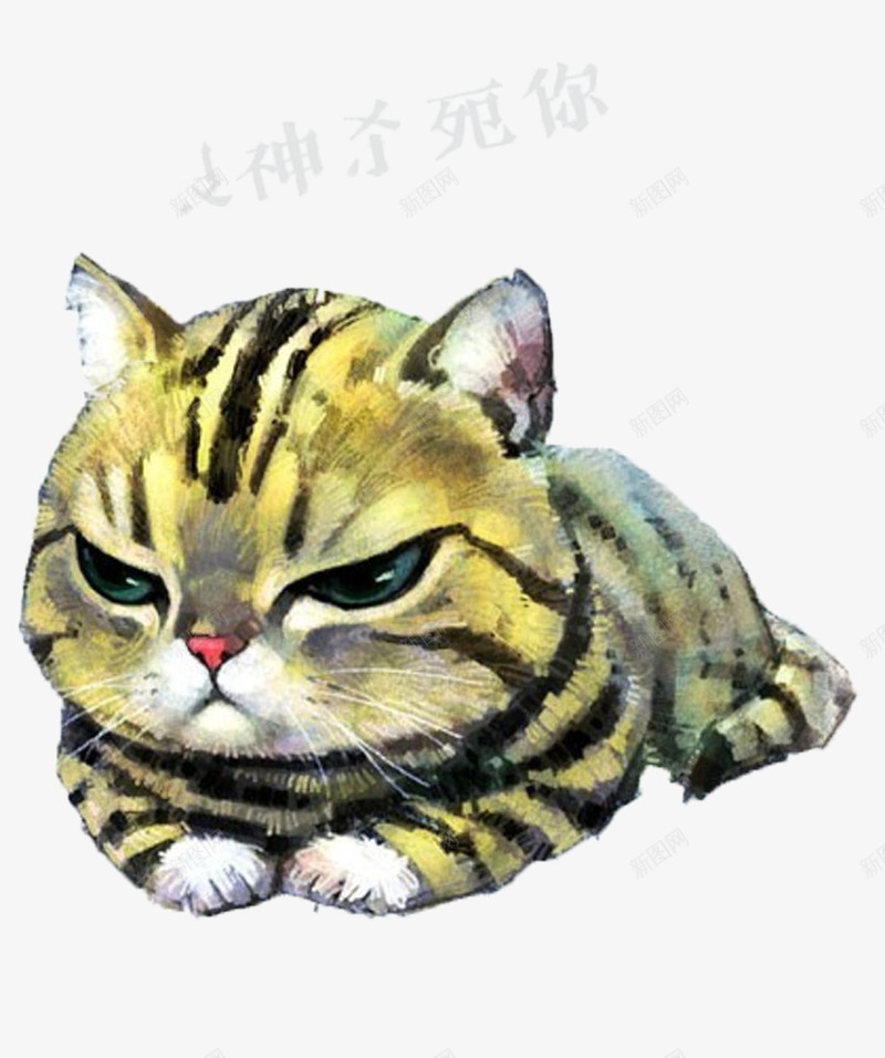 鄙视的猫咪png免抠素材_新图网 https://ixintu.com 动物 可爱 小猫 猫咪 眼神 萌猫 轻视 鄙视