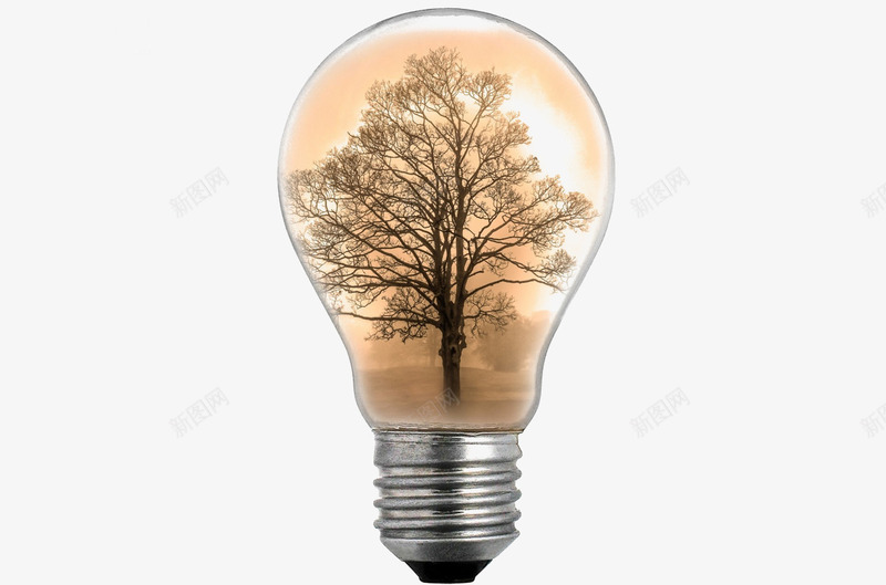 灯泡中的大树png免抠素材_新图网 https://ixintu.com 创意元素 大树 灯具 灯泡