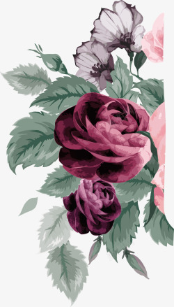 美丽紫色玫瑰花装饰素材