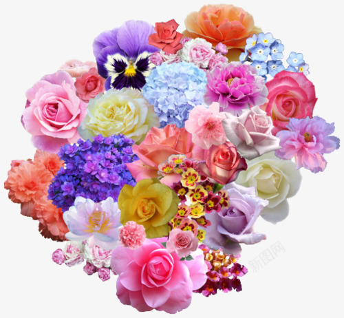 蒸汽波风格美丽花朵png免抠素材_新图网 https://ixintu.com 免抠下载 实物 手绘 花朵 蒸汽波风格 装饰
