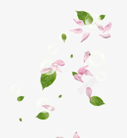 小树叶飘浮粉色飘浮花瓣植物树叶气泡高清图片
