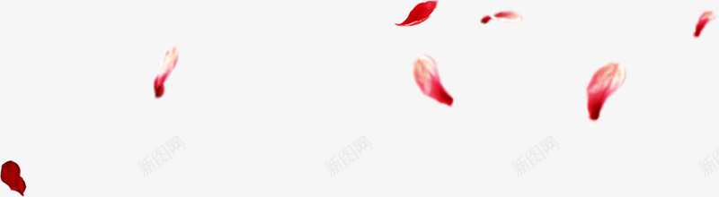 手绘红色漂浮花瓣玫瑰png免抠素材_新图网 https://ixintu.com 漂浮 玫瑰 红色 花瓣