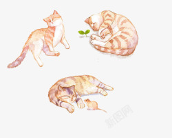 动物纹身慵懒猫咪高清图片