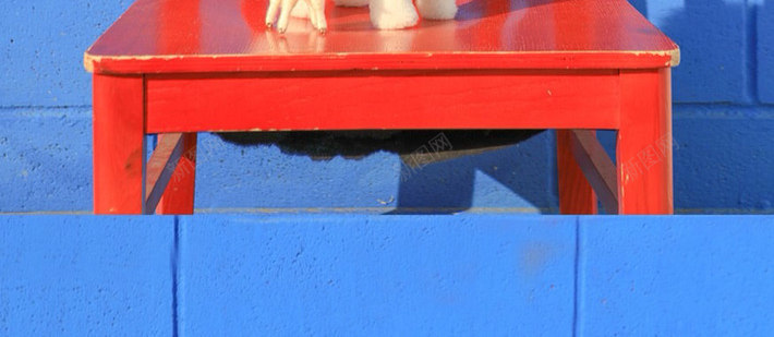 蓝色砖墙儿童椅子海报背景png免抠素材_新图网 https://ixintu.com 儿童 椅子 海报 砖墙 背景 蓝色