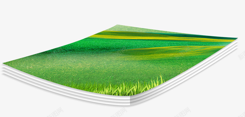 纸张上的草坪装饰png免抠素材_新图网 https://ixintu.com 纸张 草坪 装饰
