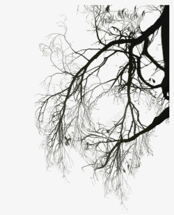 新年矢量树树枝水墨画图案高清图片