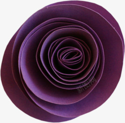 美丽小紫花紫色花朵高清图片