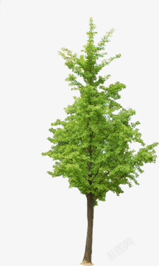 环保绿色大树清新装饰素材