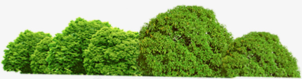 绿色清新大树树林景观png免抠素材_新图网 https://ixintu.com 大树 景观 树林 清新 绿色