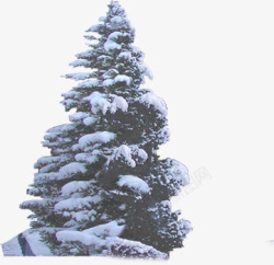 冬季雪景植物大树风景素材
