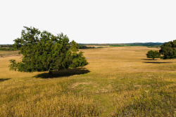 五角枫自然保护区五角枫自然保护区高清图片