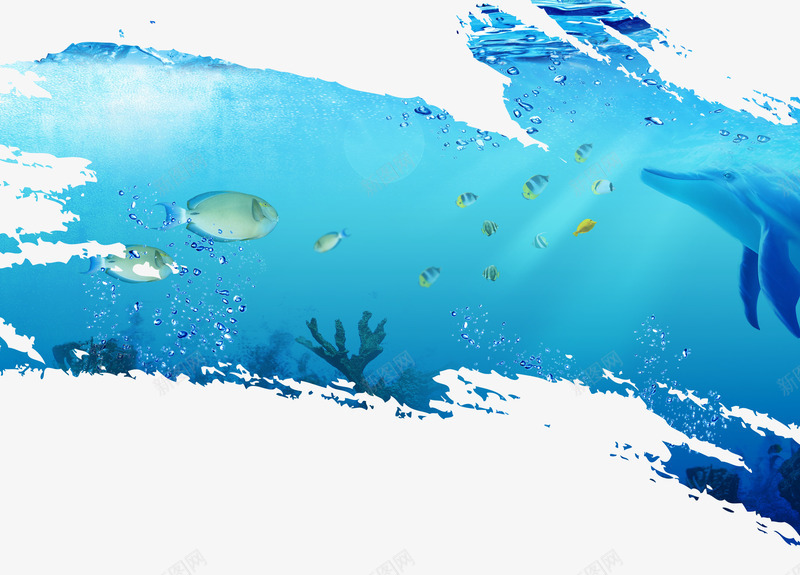 海底世界psd免抠素材_新图网 https://ixintu.com 动物 小鱼 海豚 漂浮 热带鱼 珊瑚 素材 鱼