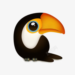 toucan反式动物可爱的小动物高清图片