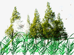绿色大树树林素材