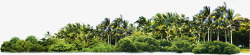 椰树海岛风光美景素材
