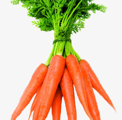 蔬菜卡通蔬菜红萝卜素材