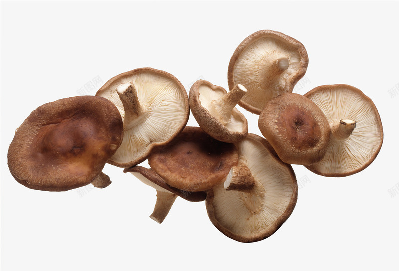普通蘑菇特写png免抠素材_新图网 https://ixintu.com 冬菇 几个香菇 实物 干冬菇 新鲜菌类 普通蘑菇特写 生食 蘑菇 食用菌 香菇青菜