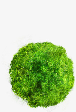 绿色清新大树环保装饰素材
