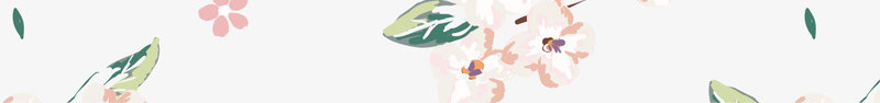 白色清新花朵png免抠素材_新图网 https://ixintu.com 梦幻花朵 清新鲜花 白色花朵 简约植物 美丽花朵 边框纹理