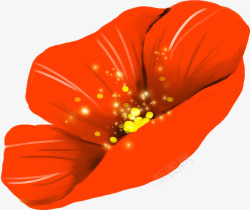 橙色美丽开放花朵素材