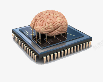 大脑技术png免抠素材_新图网 https://ixintu.com 处理器 科技 芯片