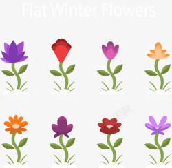 八颗冬天花朵素材