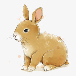 小兔子插画素材