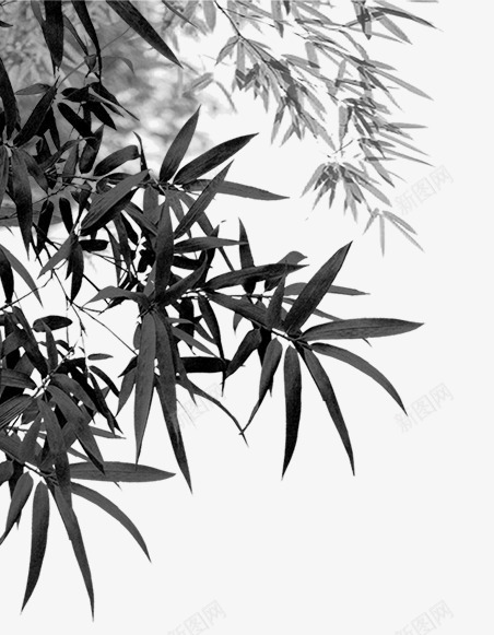 中国风竹子png免抠素材_新图网 https://ixintu.com 水墨竹子 竹子