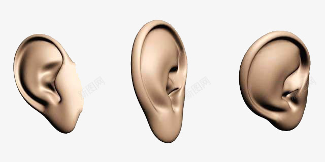 三维立体人耳朵png免抠素材_新图网 https://ixintu.com 三维耳朵 人耳朵 立体 耳朵