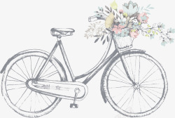 灰色叶子浅灰色手绘自行车线稿插画高清图片