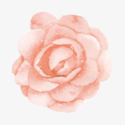 粉色茶花手绘花朵高清图片